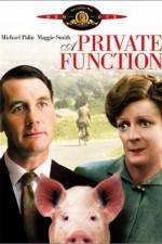 Watch Svinaktiga affärer Putlocker