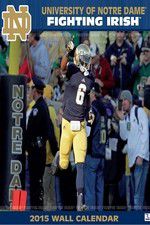 Watch The Fighting Irish Putlocker