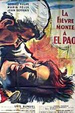 Watch La fièvre monte à El Pao Putlocker
