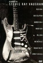 Watch A Tribute to Stevie Ray Vaughan Putlocker