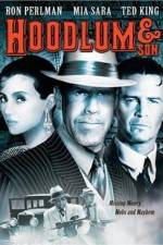 Watch Hoodlum &amp; Son Putlocker