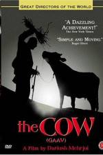 Watch Gaav Putlocker