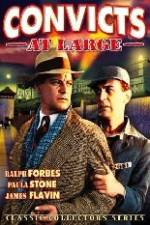 Watch Convicts at Large Putlocker