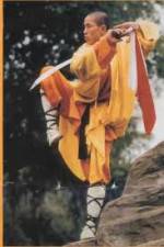 Watch National Geographic Kung Fu Secrets Putlocker