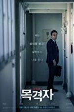 Watch The Witness Putlocker