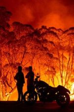 Watch Fire Fight Australia Putlocker