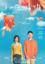 Watch Mama Boy Putlocker