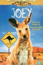 Watch Joey Putlocker