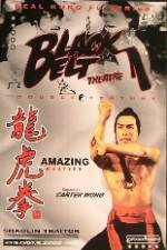 Watch Shao Lin ban pan tu Putlocker