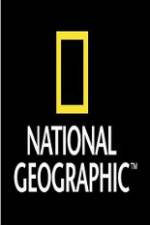 Watch National Geographic Wild War Elephants Putlocker