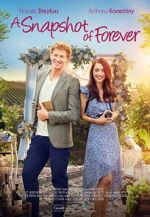 Watch A Snapshot of Forever Putlocker