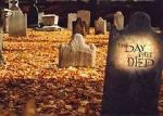 Watch The Day They Died Putlocker