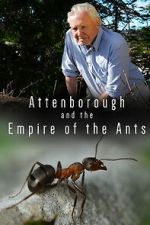 Watch Attenborough and the Empire of the Ants Putlocker
