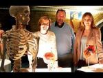 Watch Inside the Body of Henry VIII Putlocker