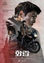 Watch Hopeless Putlocker
