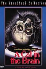 Watch Un gatto nel cervello Putlocker