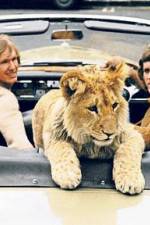 Watch The Lion Cub from Harrods Putlocker