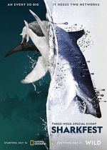 Watch Man vs. Shark Putlocker