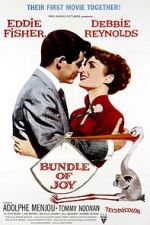 Watch Bundle of Joy Putlocker