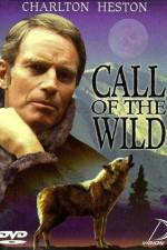 Watch Ruf der Wildnis Putlocker