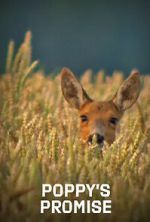 Watch Poppy\'s Promise: Secret Life in a Cornfield Putlocker