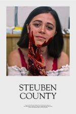 Watch Steuben County Putlocker