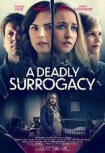 Watch The Baby Swindler Putlocker