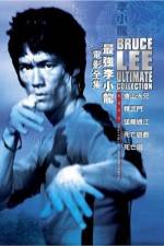 Watch The Big Boss Putlocker