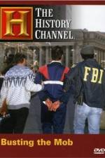 Watch The History Channel: Busting the Mob Putlocker