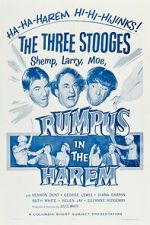 Watch Rumpus in the Harem Putlocker