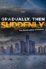 Watch Gradually, Then Suddenly: The Bankruptcy of Detroit Putlocker