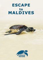 Watch Escape to Maldives Putlocker