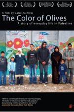 Watch The Color of Olives Putlocker
