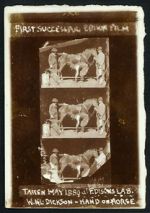 Watch Horse Shoeing Putlocker