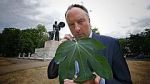 Watch Fig Leaf: The Biggest Cover-Up in History Putlocker