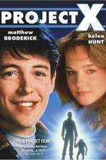 Watch Project X Putlocker