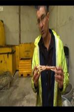 Watch The Hunt for Great Britains Metal Thieves Putlocker