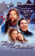Watch The Christmas Secret Putlocker