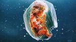 Watch Plastic People Putlocker