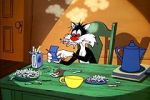 Watch The Last Hungry Cat Putlocker