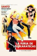 Watch The Fury of the Karate Experts Putlocker