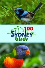 Watch 100 Sydney Birds Putlocker