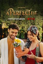 Watch A Perfect Fit Putlocker