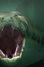 Watch The World's Largest Snake Putlocker