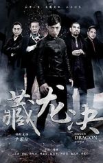 Watch Hidden Dragon Battle Putlocker
