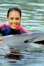Watch Flipper (The New Adventures of Flipper) Putlocker