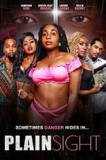 Watch Plain Sight Putlocker