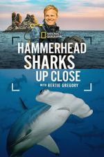Watch Hammerhead Sharks Up Close with Bertie Gregory Putlocker
