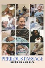 Watch Perilous Passage: Birth in America Putlocker