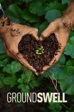 Watch Groundswell Putlocker